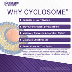 Concept image for immune support and seasonal wellness