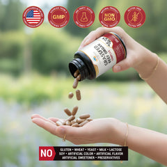 Easy-to-swallow high-absorption capsules of beef organ complex