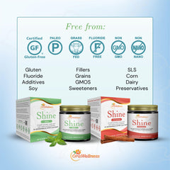 Easy 2-minute brushing steps with Shine powder