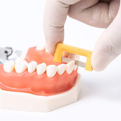 Demonstration model not included - product image placeholder, 5 of 6