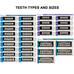 Color options A2 and A3 resin teeth for realistic appearance