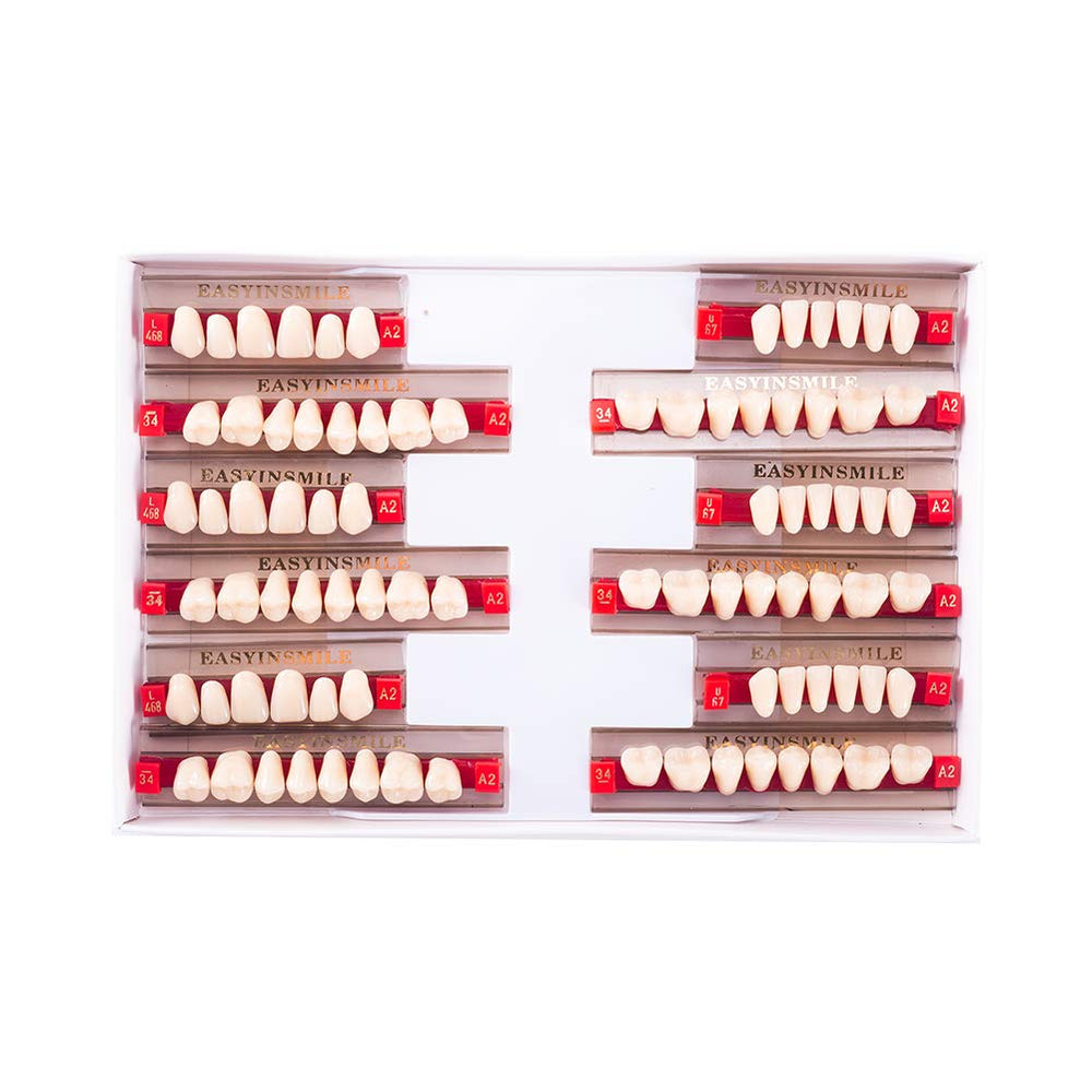 Easyinsmile resin teeth A2/A3 full upper and lower set for Halloween props