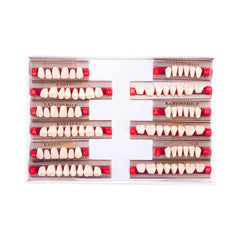 Easyinsmile resin teeth A2/A3 full upper and lower set for Halloween props
