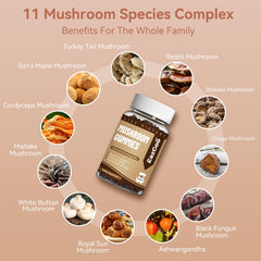 Ashwagandha root next to gummies indicating high potency