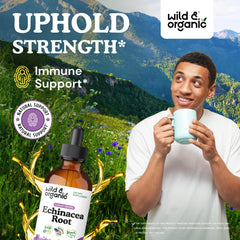 Echinacea tincture 500 mg immune support