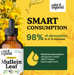 Echinacea and licorice root ingredients used in the formula