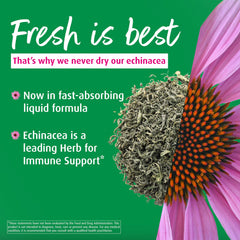 Dropper dispensing Echinaforce liquid into a glass