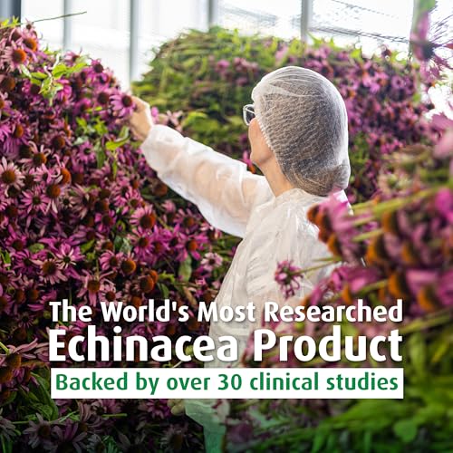 1.7 fl oz Echinaforce bottle packaging on display