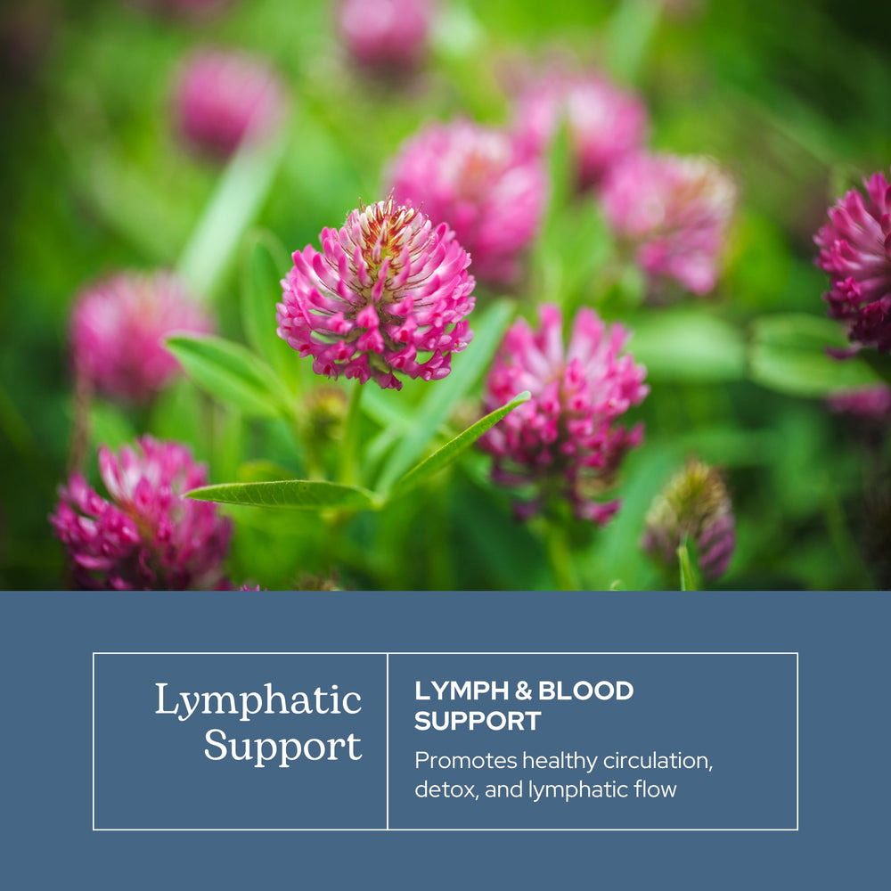 Graphic showing freeze-dried herbal blend used in the formula