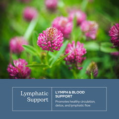 Graphic showing freeze-dried herbal blend used in the formula