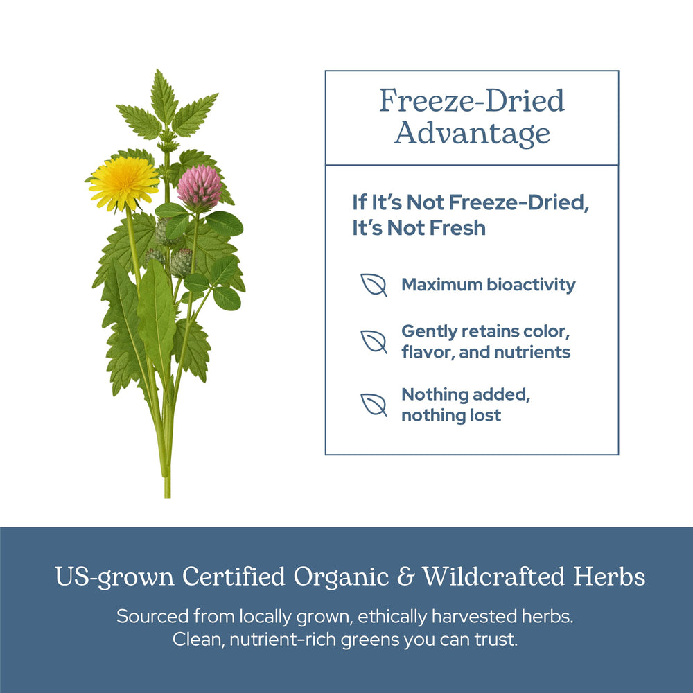 Illustration highlighting detox and circulation support