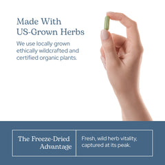Capsules with green herbal backdrop