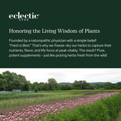 Eclectic Herb sustainability and product line