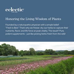Kosher certification label on Eclectic Herb cranberry capsules
