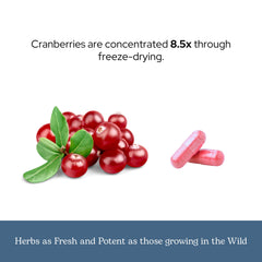 Eclectic Herb brand - whole herb supplement lineup