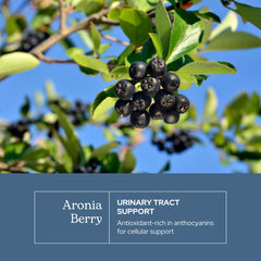 Eclectic Institute aronia capsules open view emphasizing easy daily intake