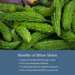 Close view of freeze-drying process for bitter melon
