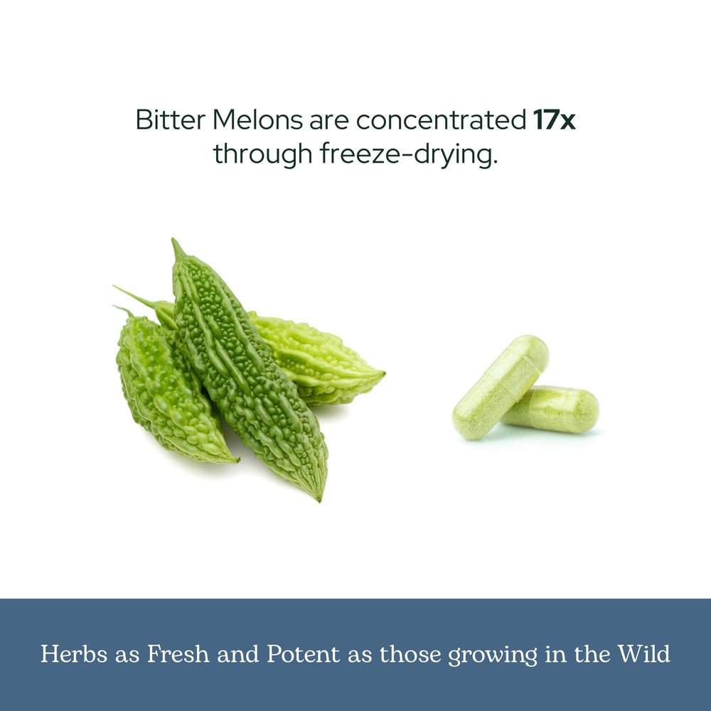 Freeze-drying equipment preserving nutrients in bitter melon