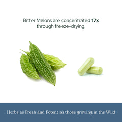 Freeze-drying equipment preserving nutrients in bitter melon