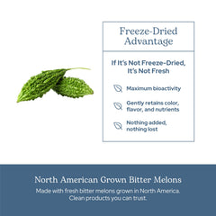 Bitter melon field harvest used for Eclectic Institute