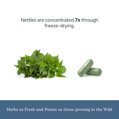 Non-GMO, gluten-free, soy-free, dairy-free label on nettle leaf capsules
