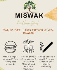 Eco-friendly biodegradable Miswak alternative