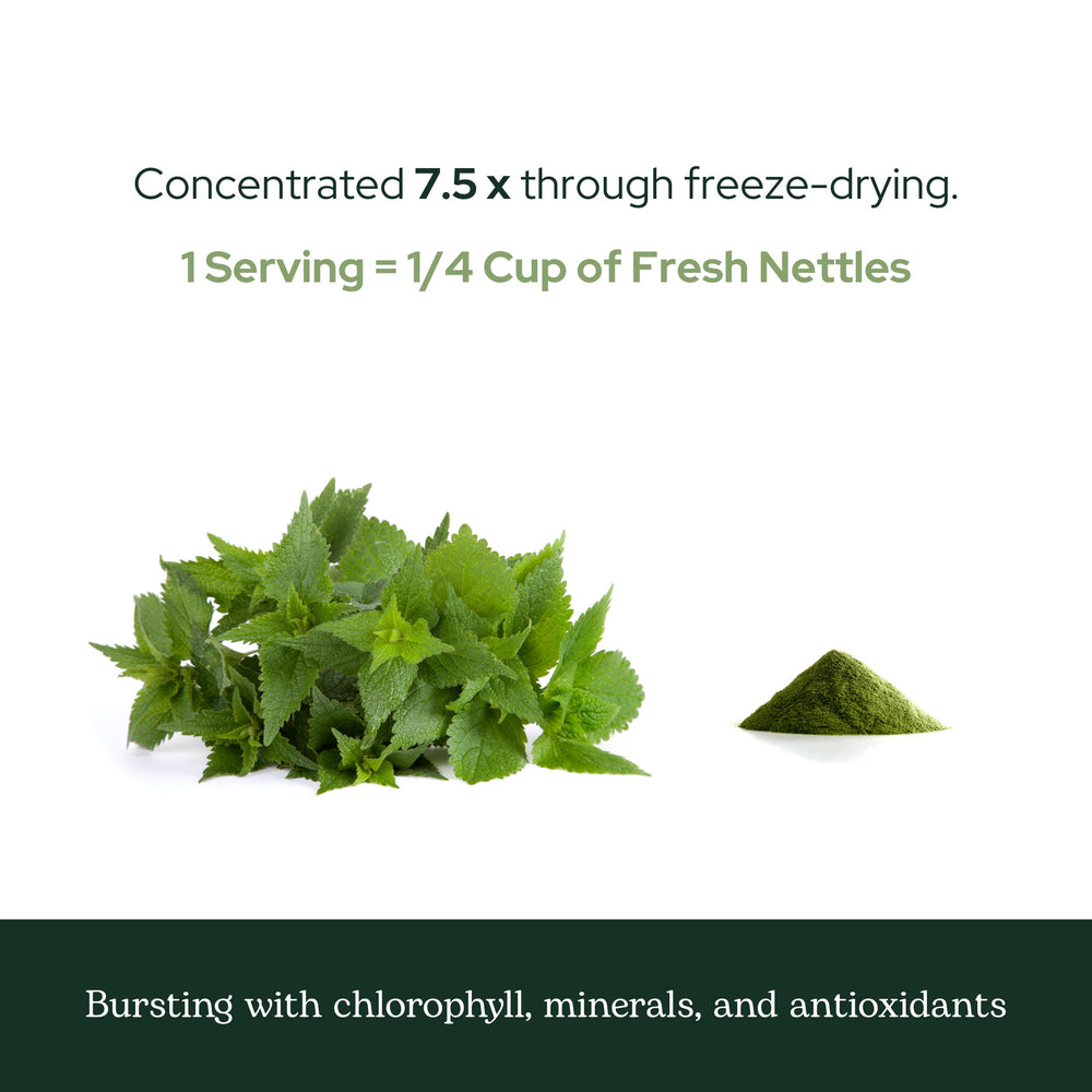 Eco-friendly packaging for Eclectic Herb nettle leaf powder.