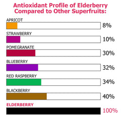 Bottle label showing GMP facility and lab testing