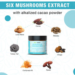 Illustration of six mushroom extracts: Lion's Mane, Reishi, Turkey Tail, Maitake, Cordyceps, Chaga