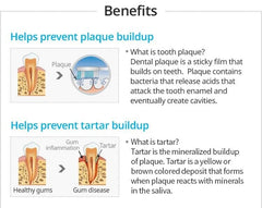 Close-up of Propolis and Green Tea Extract ingredients