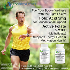 Graphic illustrating bioavailable methylated folate absorption