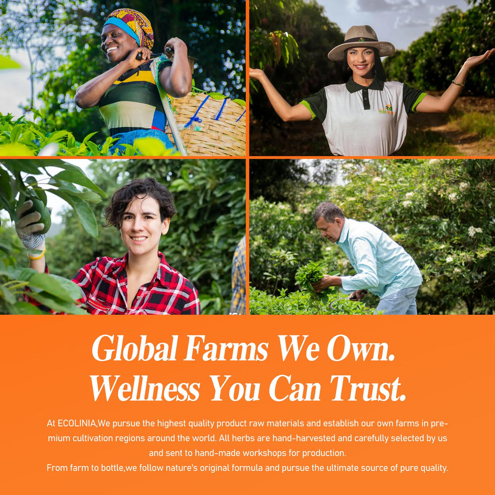 ECOLINIA Eye Health Drops bottle with label