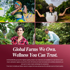 Calendula and Echinacea components in the formula