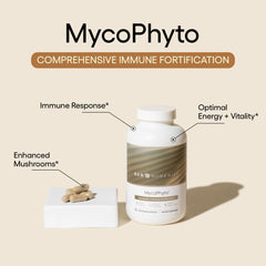 Six mushroom varieties used in MycoPhyto (Turkey Tail, Reishi, Cordyceps, Maitake, and more)