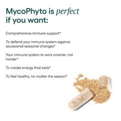 Beta glucans and immune-support compounds added to MycoPhyto