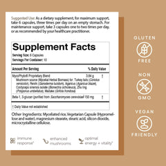 MycoPhyto supports energy, gut health and vitality