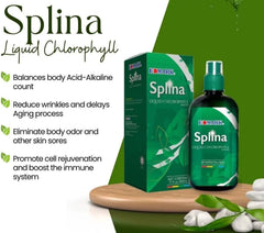 500ml bottle of Splina Liquid Chlorophyll