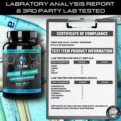 Capsules promoting digestive support and energy