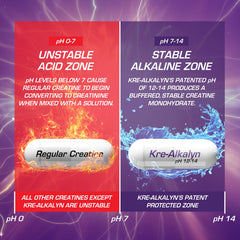 Creatine monohydrate capsule supplement