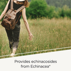 Graphic of the EHB herbal blend ingredients (echinacea, goldenseal, Oregon grape)