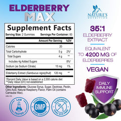 Back packaging showing nutrition facts for Elderberry Immune Support Gummies