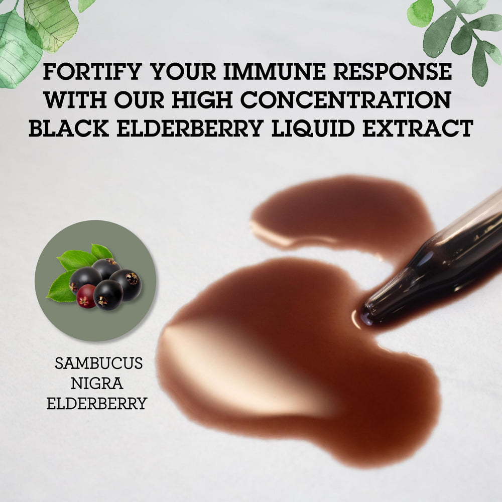 2 fl oz bottle of elderberry immune support liquid