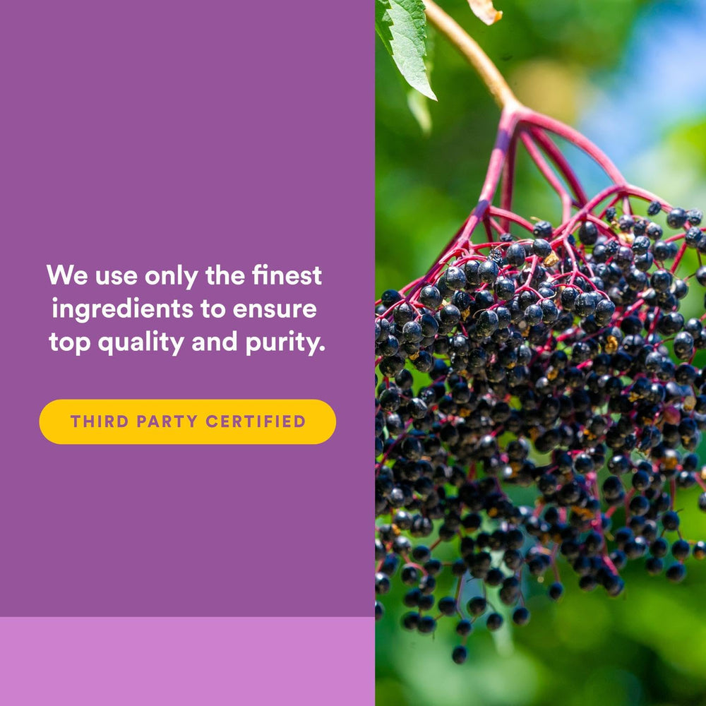 Close-up of black elderberry softgels