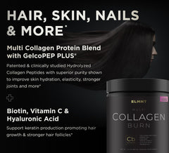 Thermogenic weight management ingredients: Green Tea, ACV, KSM-66 Ashwagandha