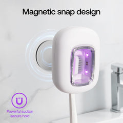Detachable cleaning compartment with magnetic wall mount