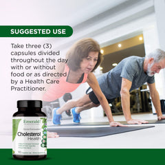 Heart wellness concept illustrating heart health support