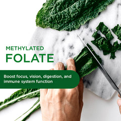 Digestive enzymes and probiotics blend illustration