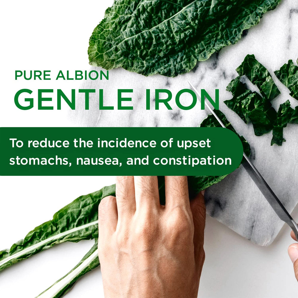Gentle Iron supplement facts panel