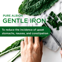 Gentle Iron supplement facts panel