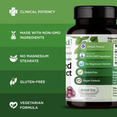 Close-up view of 90 vegetarian capsules